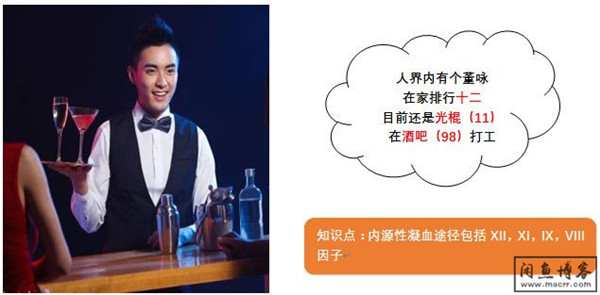 检验:巧记凝血因子和凝血途径之凝血瀑布记忆方法