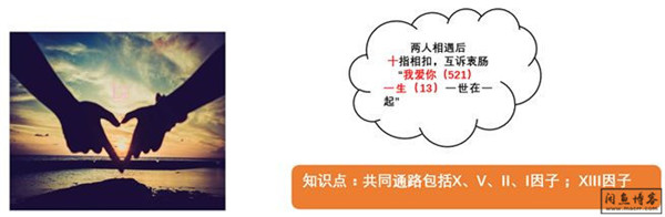 检验:巧记凝血因子和凝血途径之凝血瀑布记忆方法