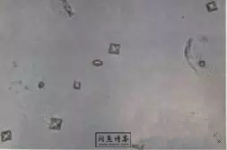 职称考试初级检验士检验师中级检验师必考的图片题目